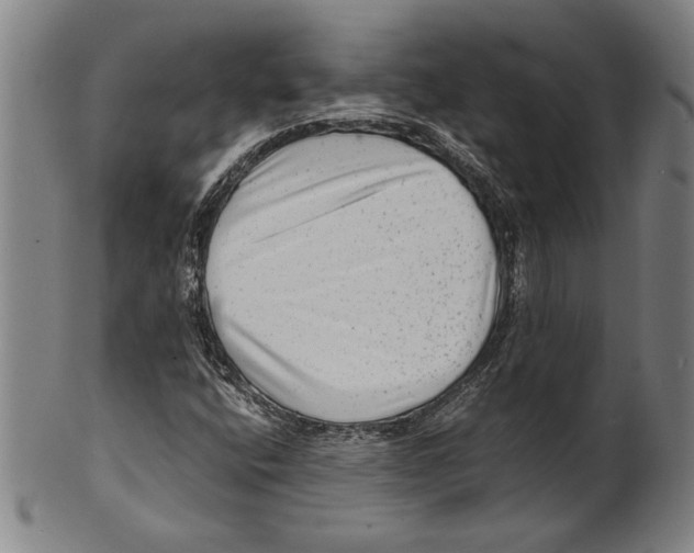 X0000099431400200806061008