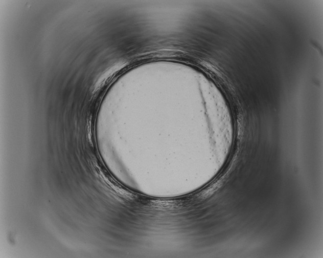 X0000099431402200806061008