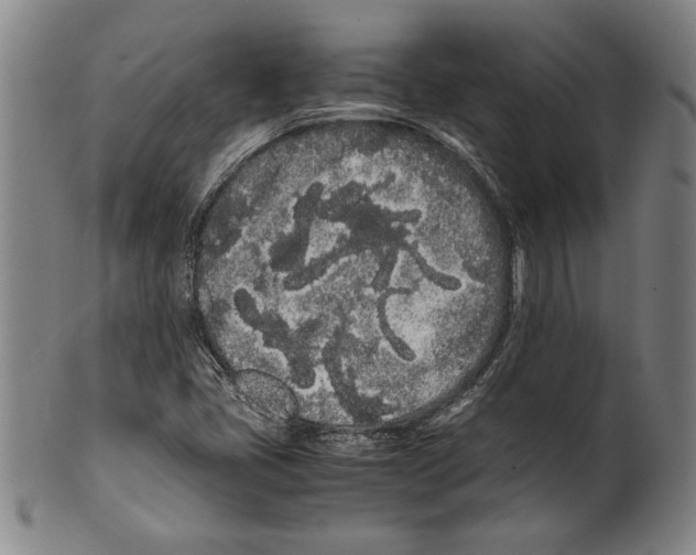 X0000099431405200806061008