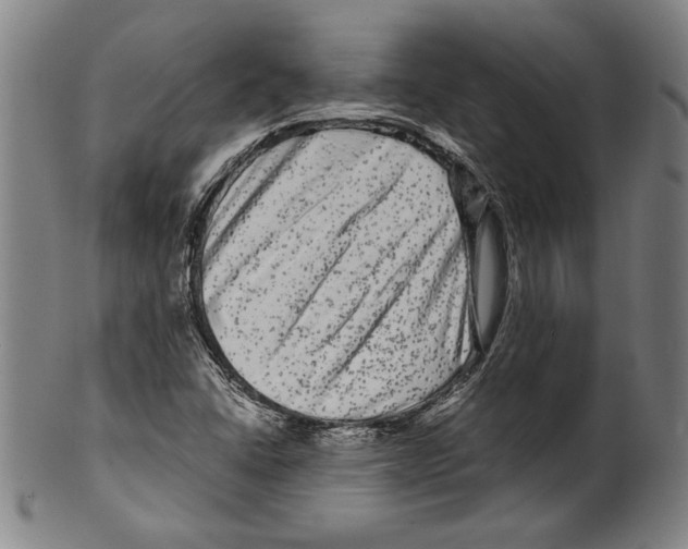 X0000099431406200806061008