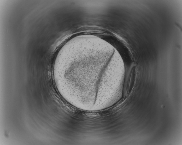 X0000099431407200806061008