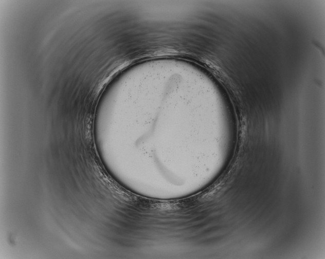 X0000099431409200806061008