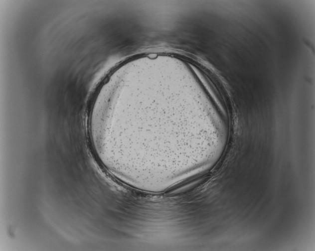 X0000099431416200806061008