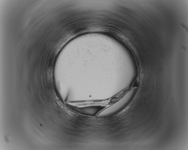 X0000099431417200806061008