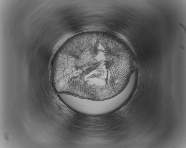 X0000099431419200806061008