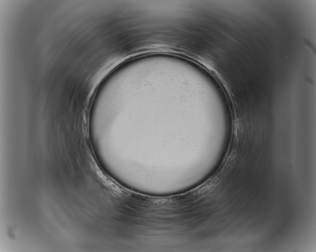 X0000099431421200806061008