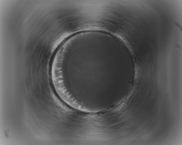 X0000099431422200806061008