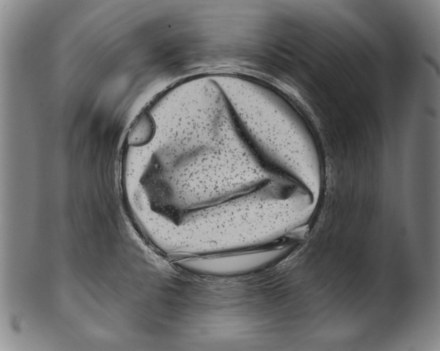 X0000099431424200806061008