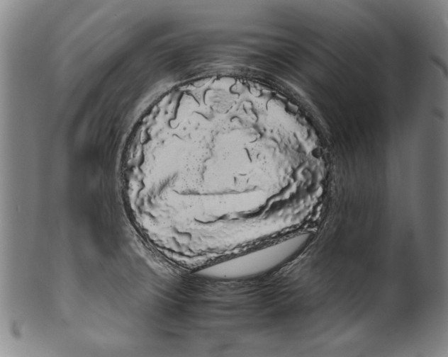 X0000099431427200806061008