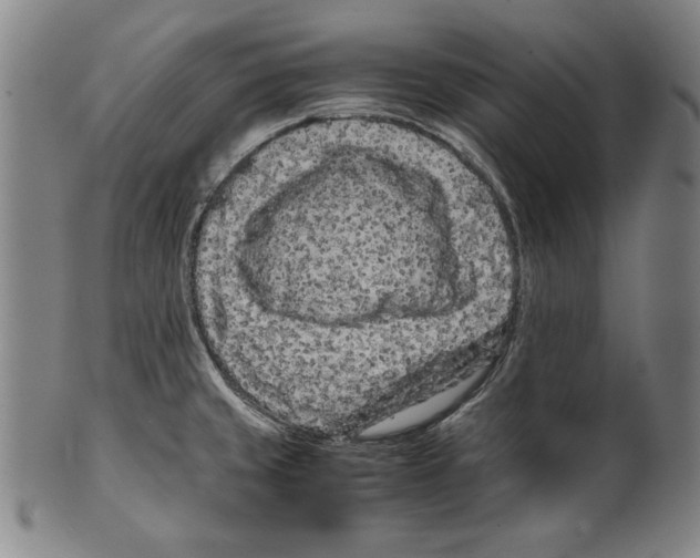 X0000099431429200806061008