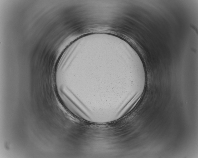 X0000099431432200806061008