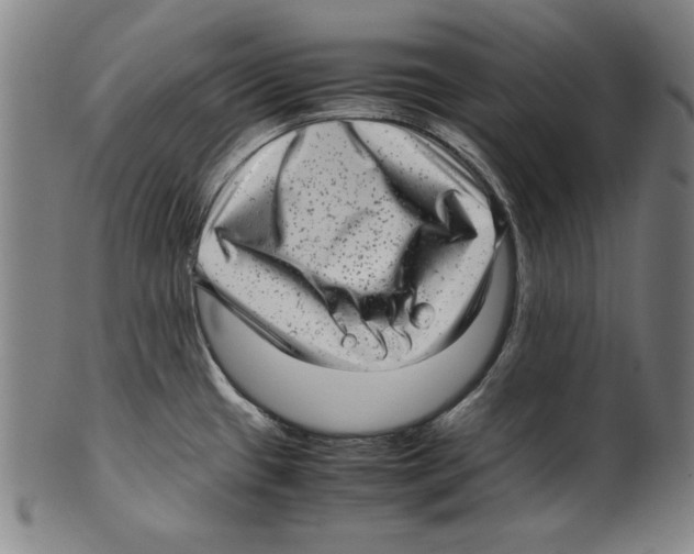 X0000099431433200806061008