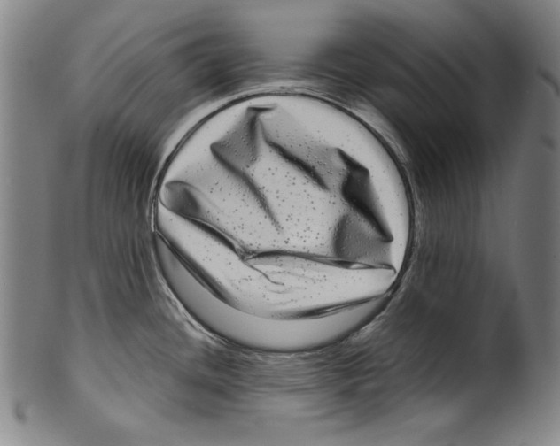 X0000099431436200806061008