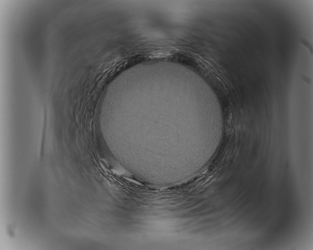 X0000099431441200806061007