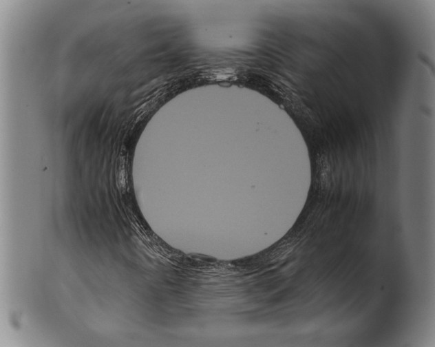 X0000099431442200806061007