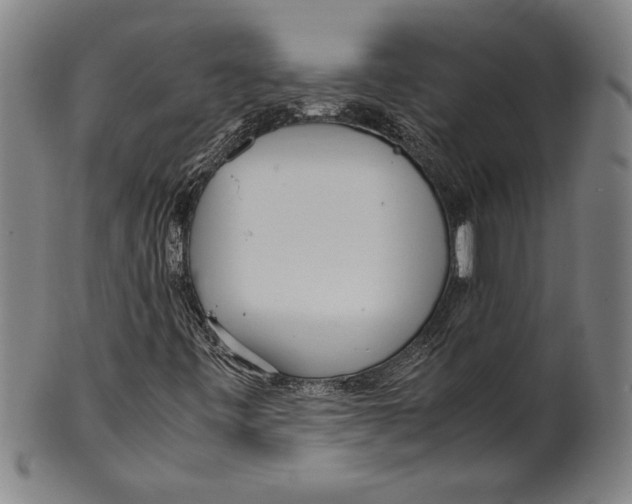 X0000099431443200806061007