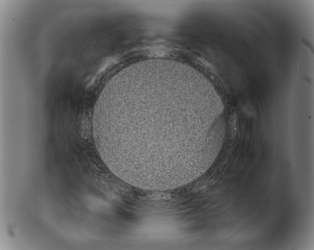 X0000099431446200806061007