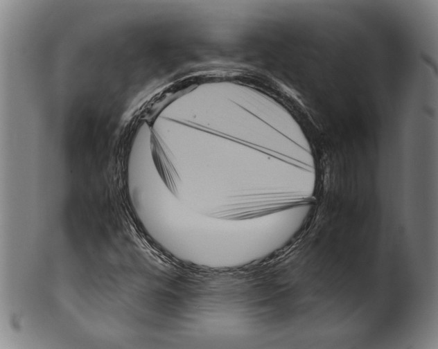 X0000099431448200806061007