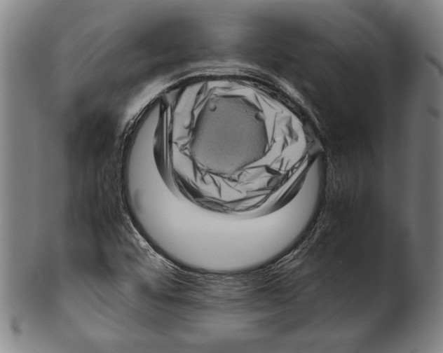 X0000099431456200806061007