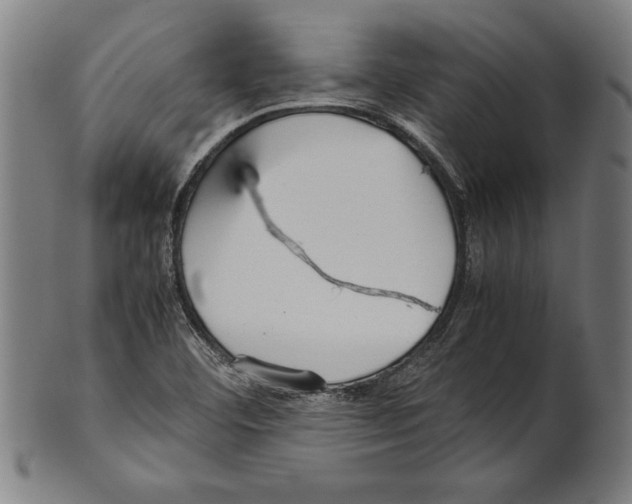 X0000099431460200806061007