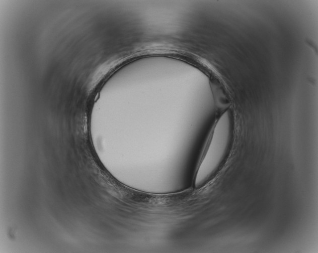 X0000099431461200806061007