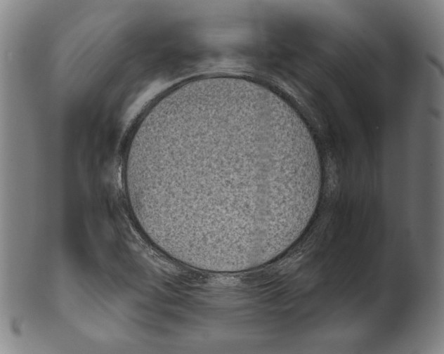 X0000099431462200806061007