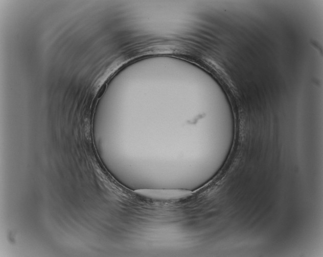 X0000099431465200806061007