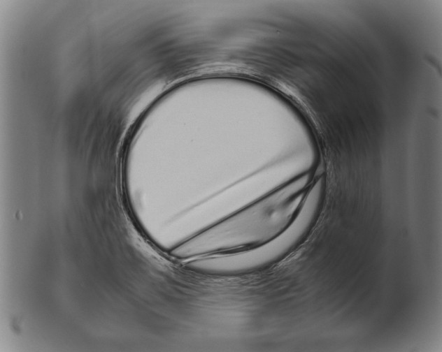 X0000099431467200806061007