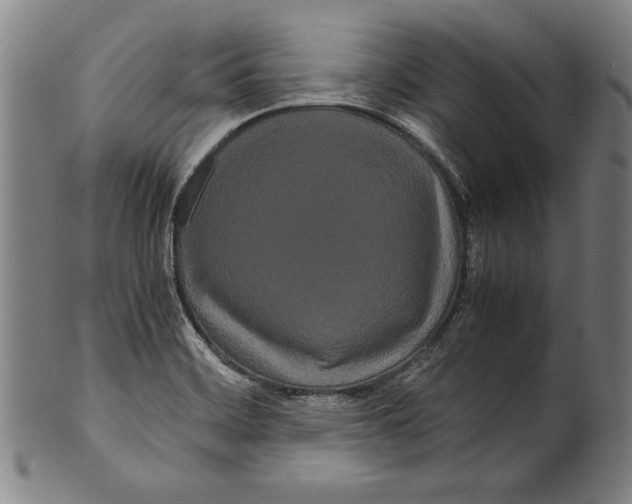 X0000099431468200806061007