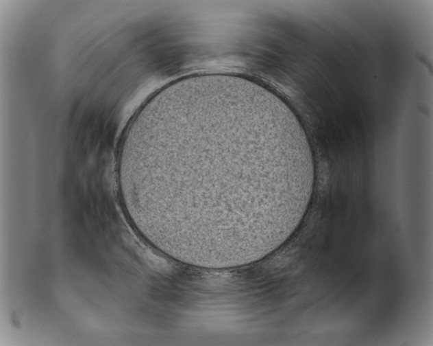 X0000099431470200806061007