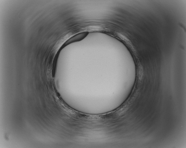 X0000099431473200806061007