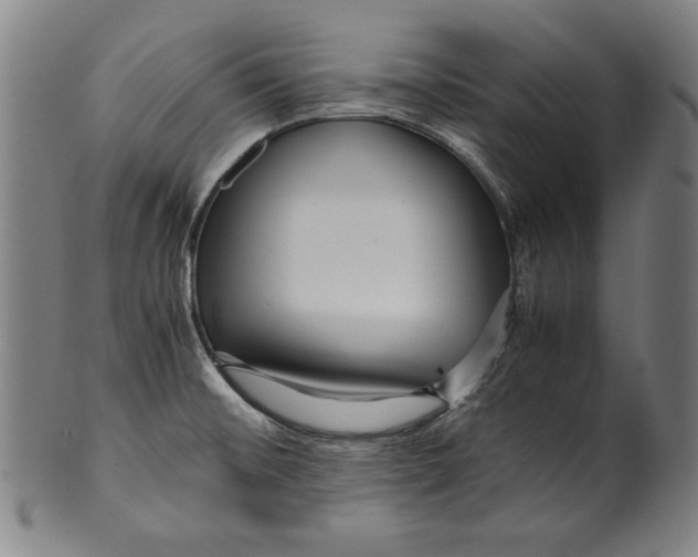 X0000099431476200806061007