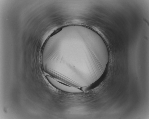 X0000099431477200806061007