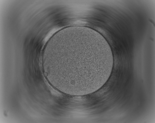 X0000099431478200806061007