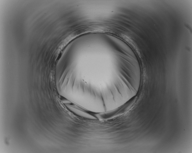 X0000099431481200806061007