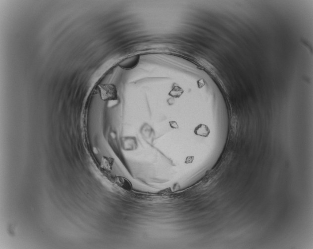 X0000099431482200806061007