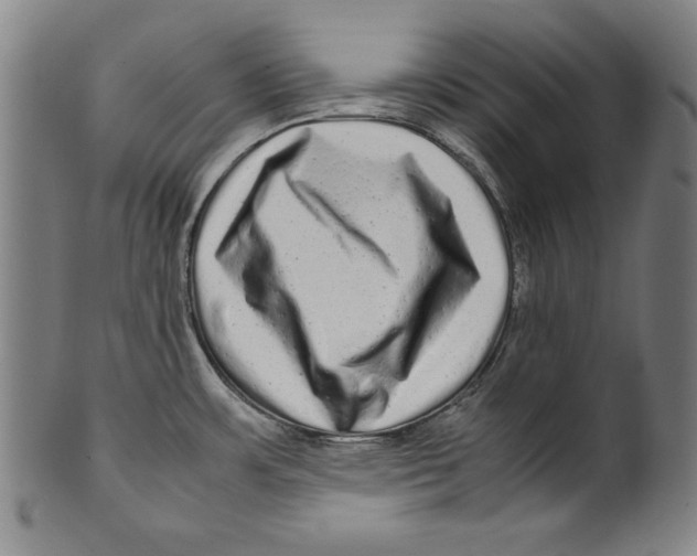 X0000099431483200806061007