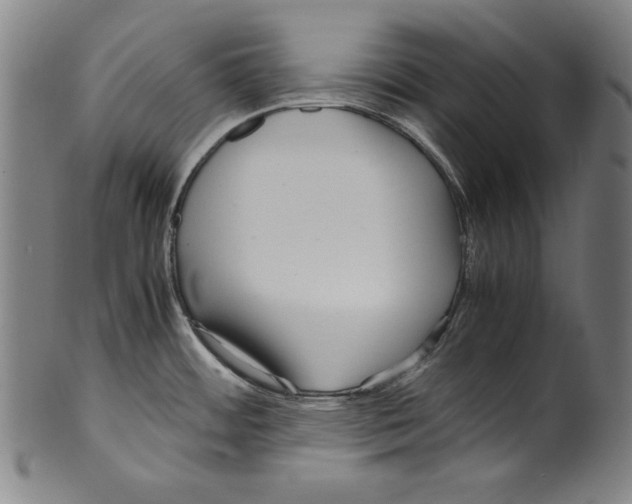 X0000099431484200806061007