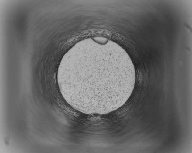 X0000099431489200806061006