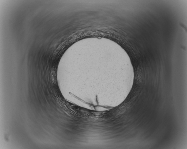 X0000099431490200806061006