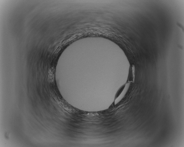 X0000099431491200806061006