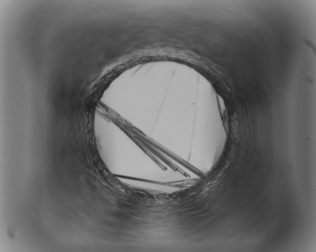 X0000099431494200806061006