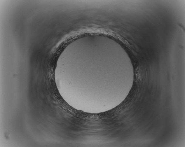 X0000099431495200806061006