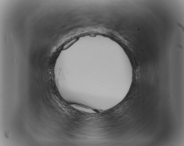 X0000099431496200806061006