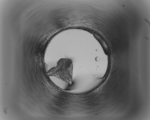 X0000099431497200806061006