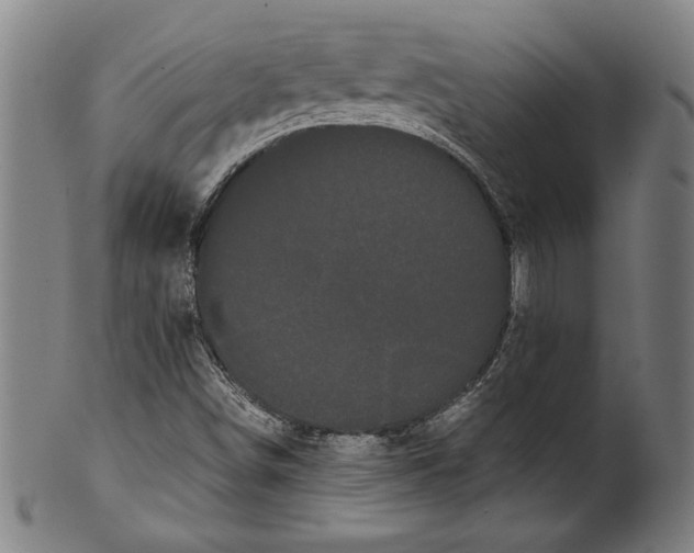 X0000099431498200806061006