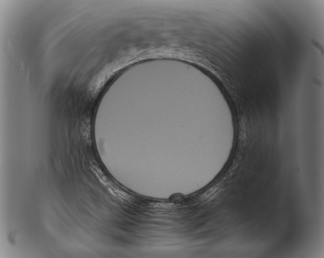 X0000099431499200806061006