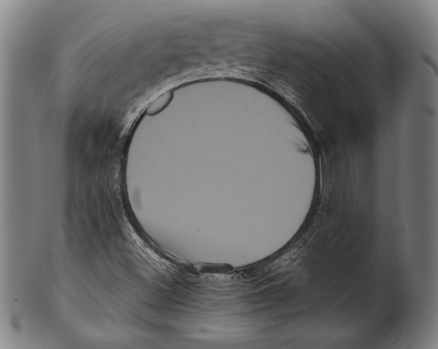 X0000099431500200806061006