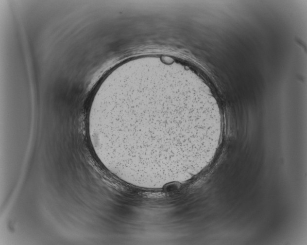 X0000099431501200806061006