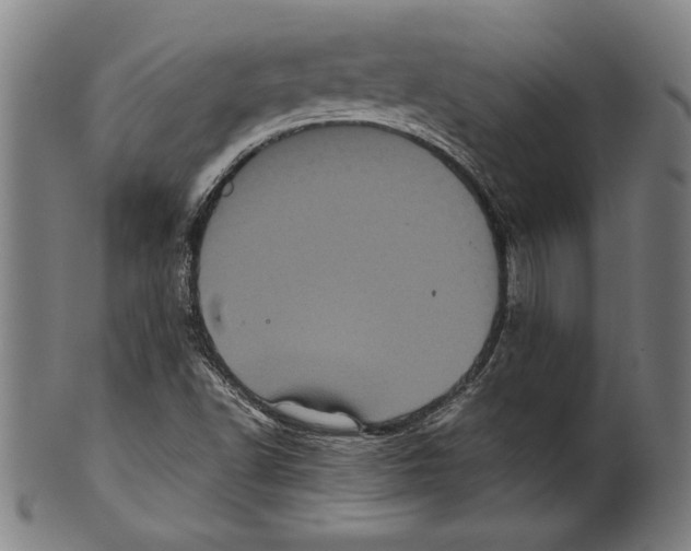 X0000099431502200806061006